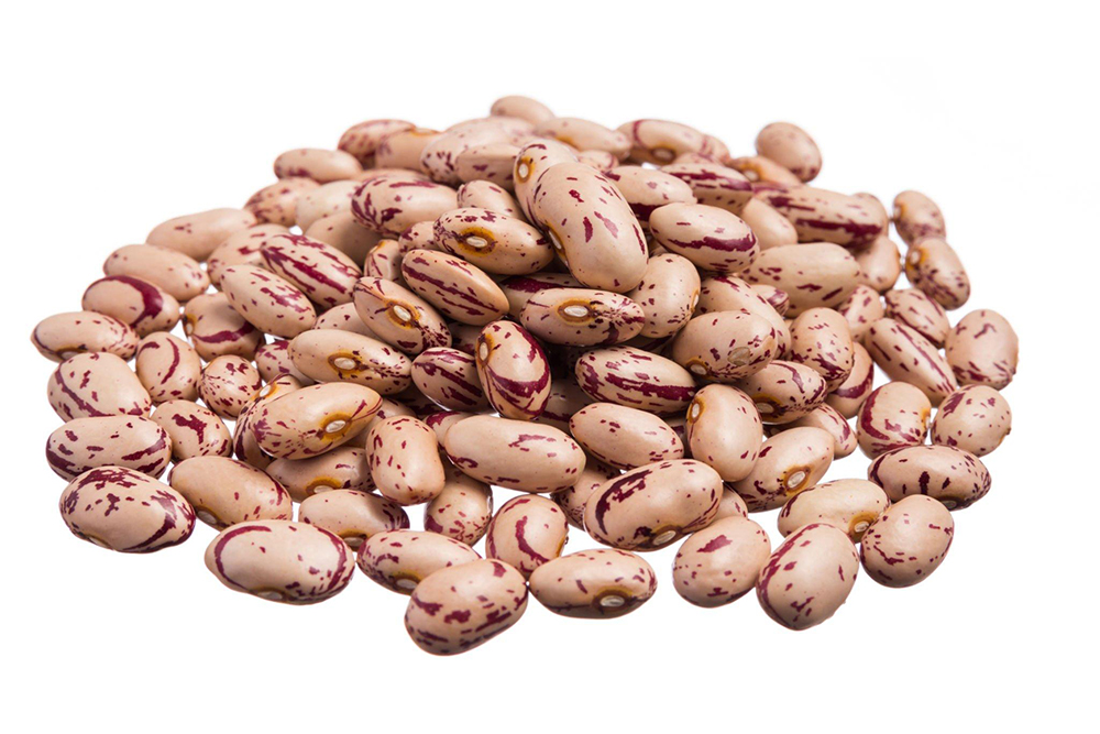 Speckled Kidney Beans in Indore