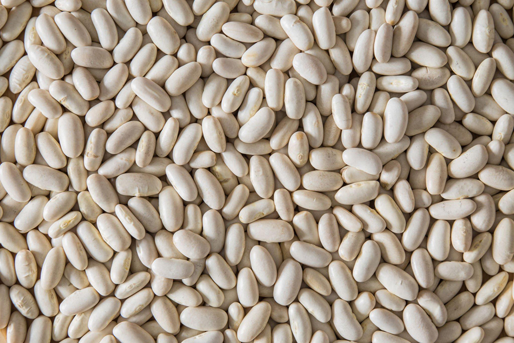 White Kidney Beans in Indore