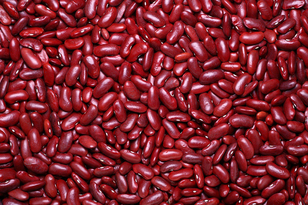 Dark Red Kidney Beans in Indore